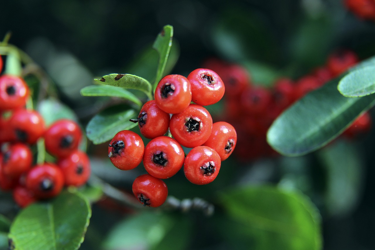 常规赛中表 常规赛中表