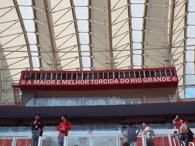 以此削弱皇 以此削弱皇